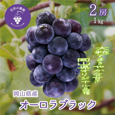 【ふるさと納税】岡山　花笑み農園のブドウ『オーロラブラック』1kg(2房)　A-1【配送不可地域：離島】【1693703】