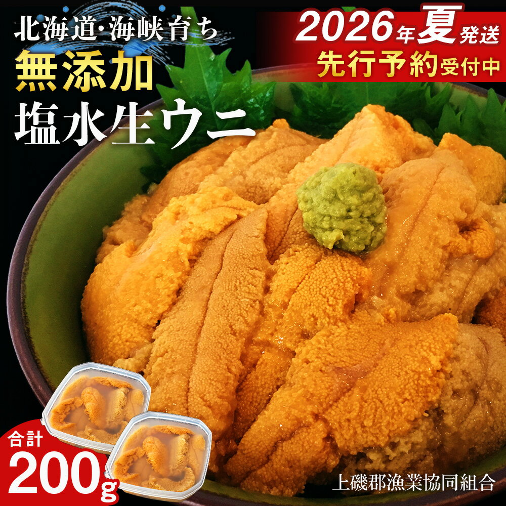 【ふるさと納税】【2026年6月中旬以降発送】 キタムラサキウニ 100g×2パック 上磯郡漁業協同組合むらさきうに 塩水ウニ 塩水パック 無添加 知内町 ふるさと納税 北海道ふるさと納税 ウニ 北海道産ウニ うに 雲丹