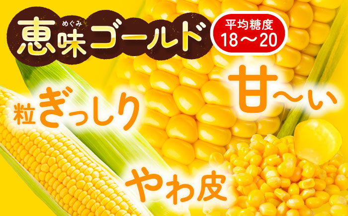 北海道 朝もぎ とうもろこし 10本（恵味ゴールド）《足寄町》【党崎農場】トウモロコシ とうもろこし 甘い 野菜 採れたて野菜 新鮮 農家 おすすめ 北海道土産 ゴールド gold 北海道産 あしょろ