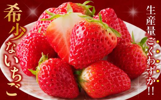高松産季節の果物＜希少品種　女峰いちご＞約250g×8パック入り【2026年1月中旬～2026年6月中旬配送】