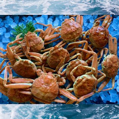 ふるさと納税 若桜町 【蒸し】訳あり足折れ日本海産親ガニ(セコガニ)　10枚