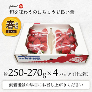【先行予約】【2027年3月上旬より順次発送】博多あまおう4パック（春）[M759-5]