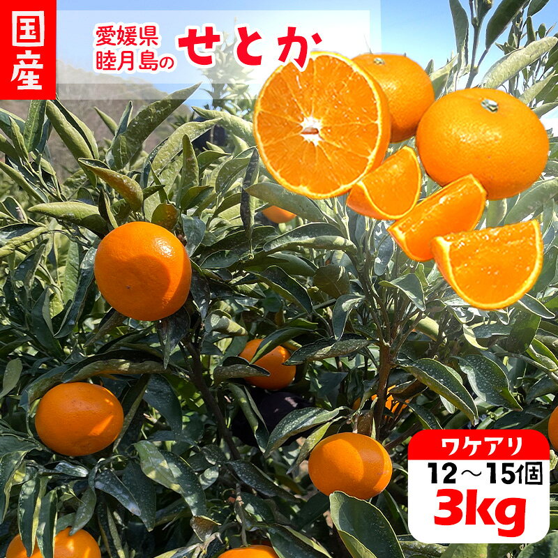 【ふるさと納税】 【2027年3月上旬頃から順次発送】 訳あり 家庭用 せとか 約3kg | みかん 蜜柑 柑橘 果物 くだもの フルーツ 甘い おすすめ 高級 人気 お取り寄せ グルメ ギフト 期間限定 数量限定 ご当地 愛媛 松山