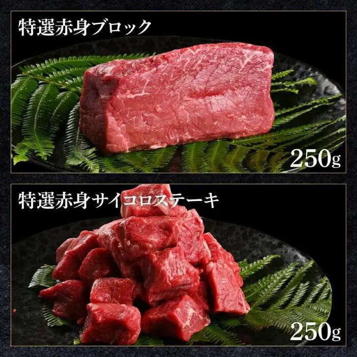 熟成肉 土佐和牛 詰め合わせ6種 【株式会社LATERAL】 [ATAY079]