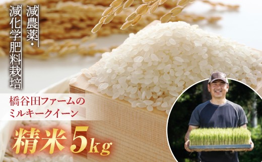 
                  【先行予約】令和8年産 減農薬・減化学肥料栽培 ミルキークイーン 精米 5kg 米 お米 おこめ ご飯 ごはん 福島県 西会津町 F4D-2244
                