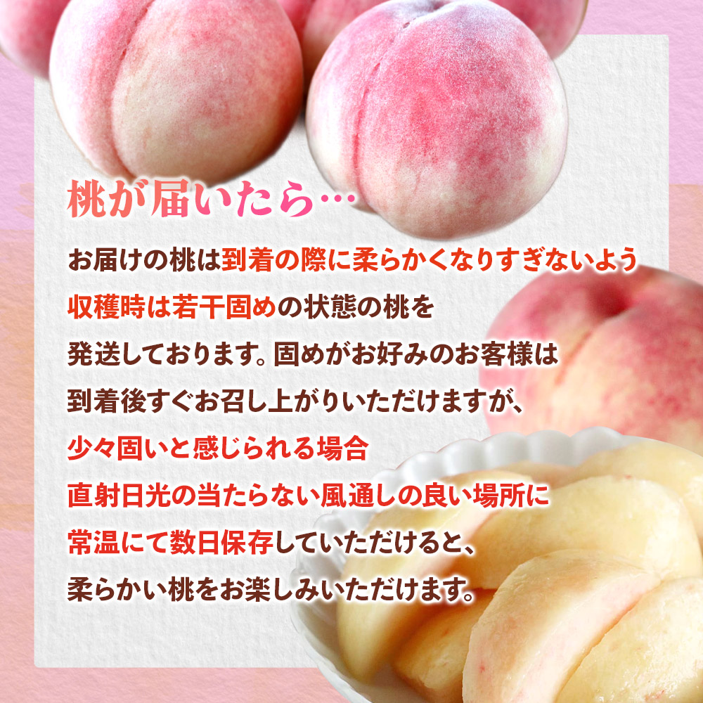 【2025年5月下旬～6月発送】九州・福岡フルーツ王国八女から直送！桃 約1.4kg｜配送不可：北海道・沖縄・離島 桃 もも モモ フルーツ くだもの 果物 白鳳 1.4kg 産地直送 ジューシー 家