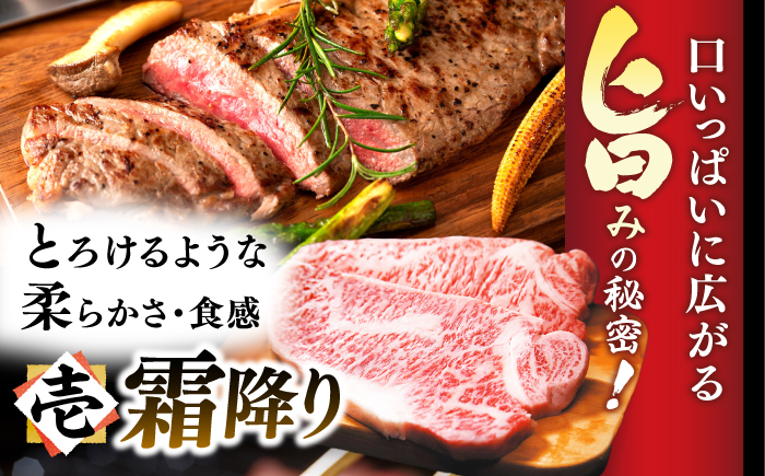 【A4～A5】長崎和牛サーロインステーキセット　1kg（250g×4枚）【株式会社 MEAT PLUS】 [DBS015] [DBS015]