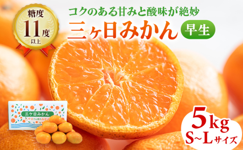 三ヶ日みかん 早生 5kg S～L サイズ混在 11月下旬より順次発送 みかん ミカン 蜜柑 早生みかん 三ヶ日 果物 くだもの フルーツ 旬の果物 旬のフルーツ 柑橘 柑橘類 糖度 静岡 静岡県 浜松市
