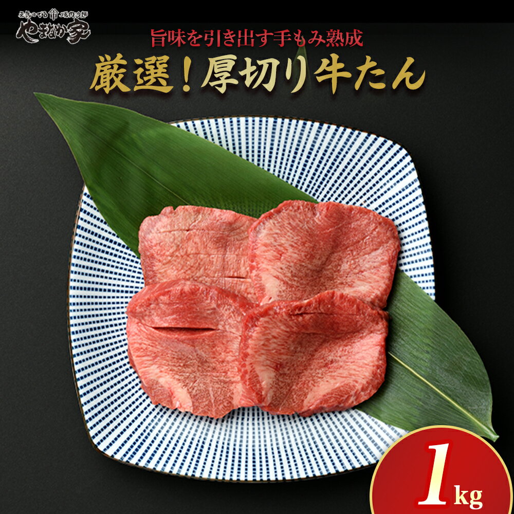 【ふるさと納税】厚切り 牛たん 1kg やまなか家 厳選！500g×2パック 牛 肉 タン 焼肉 BBQ 冷凍 熟成 牛タン 塩味 牛肉 お取り寄せ グルメ 岩手県 北上市 F0140 クリスマス お歳暮 ご年始 年末年始 パーティ 贈り物 プレゼント KYフーズ（K6－028）岩手県 北上市