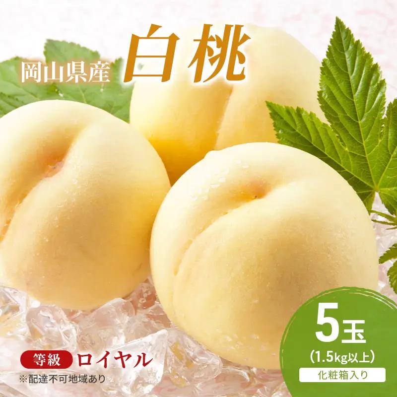 白桃 フルーツ ロイヤル 化粧箱入り 岡山県産 白桃【5玉 1.5kg以上】【先行予約】