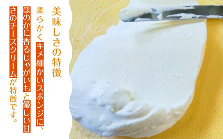 カッツァ チーズ ＆ チョコ 12個入 / ケーキ スポンジケーキ クリーム / お菓子 おやつ じゃがいも 贈答 ホクホク  / 南島原市 / グランビィラジュおおむら菓子舗[SDS001]