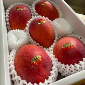 【2026年6月下旬から順次発送・家庭用】みなとばる農園の完熟アップルマンゴー2kg(3～6玉)【配送不可地域：離島】【1699990】