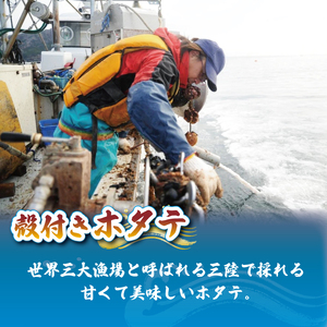 特Lサイズ 殻付き 活ほたて 6枚 12cm以上 ほたて