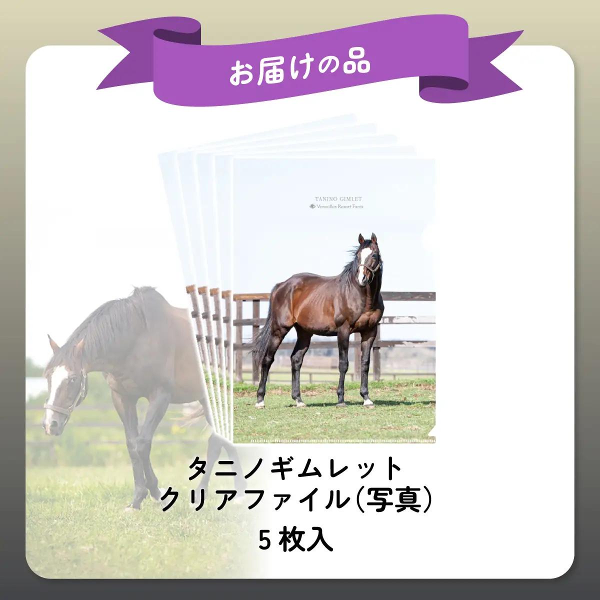 【破壊神タニノギムレット】クリアファイル5枚入り BRTV112