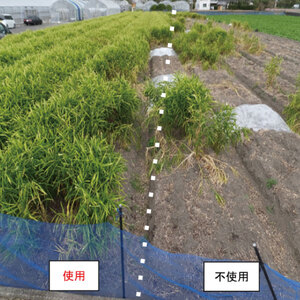 堆肥 5L (2.5kg) 肥料 堆肥 みみず
