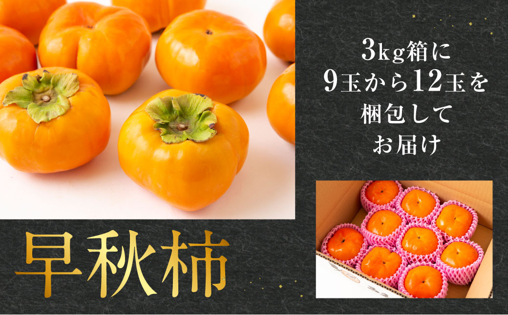 早秋柿 9～12玉（約3kg）