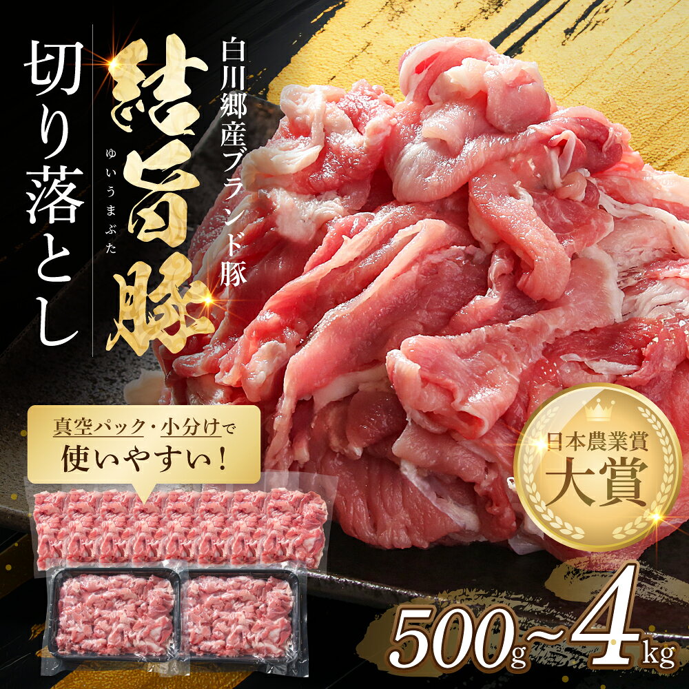 【ふるさと納税】 選べる 結旨豚 切落とし 500g 1kg 2kg 4kg 定期便 小分け 250g 冷凍真空パック | 肉 お肉 豚肉 国産 切り落とし 切落し 薄切り 訳あり 白川郷 岐阜県 白川村 ブランド豚 人気 おすすめ ギフト 飛騨高山ミート 6000円 〜 [MS005]