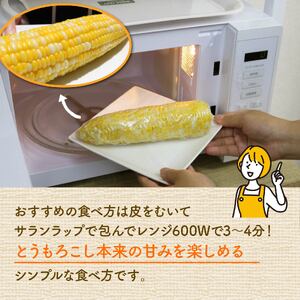 とうもろこし ドルチェドリーム とうもろこし