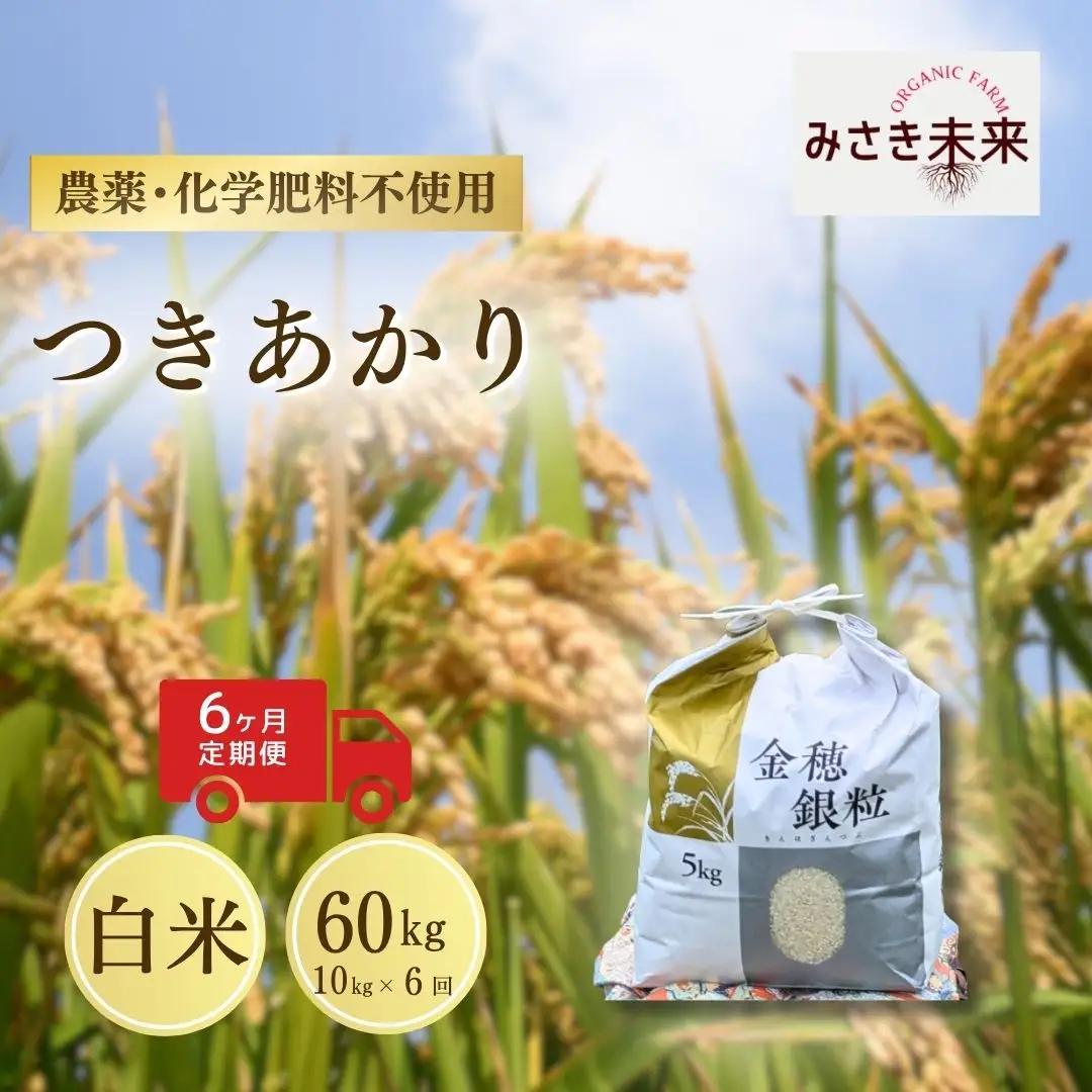 【先行予約】【6か月定期便】つきあかり 白米 60kg (10kg×6回) 令和8年産 | 無農薬 農薬不使用 化学肥料不使用 精米 お米 米 こめ コメ 福島産 福島県産 南相馬市 みさき未来 つきあかり