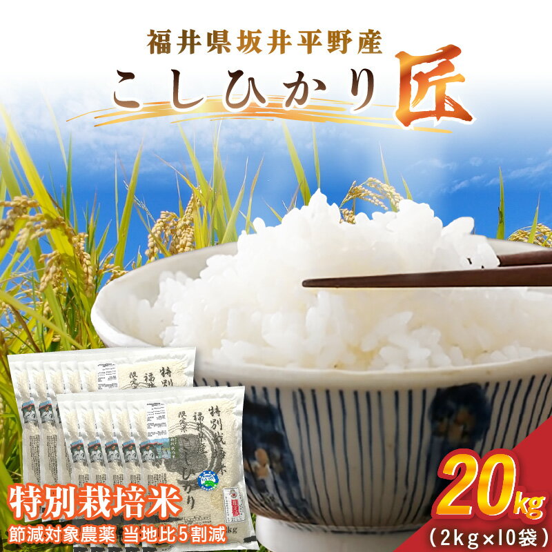【ふるさと納税】令和7年産 特別栽培米 コシヒカリ匠 20kg（2kg×10袋）節減対象農薬当地比5割減【選べる精米方法：白米 / 玄米】【米 コメ お米 コシヒカリふるさと納税米 ブランド米 国産】