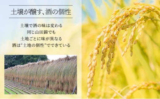 日本酒 特別純米 龍力 姫路城 クリアケース入り 720ml 四合瓶 本田商店 地酒 清酒 お酒 ギフト プレゼント お歳暮 家飲み 晩酌 兵庫県 姫路市