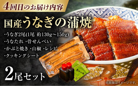 【4回定期便】 白川のごちそうお届け定期便 飛騨牛 豚肉 鶏ちゃん うなぎ 定期便 / 白川町[AWCE012]