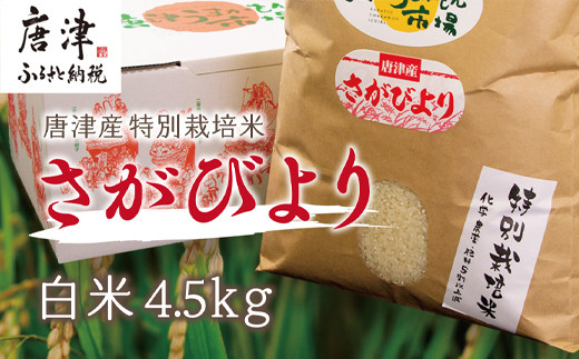 
                  『先行予約』【令和6年産】唐津産特別栽培米 さがびより(白米) 4.5kg 白米 ご飯 こめ お米 おにぎり
                