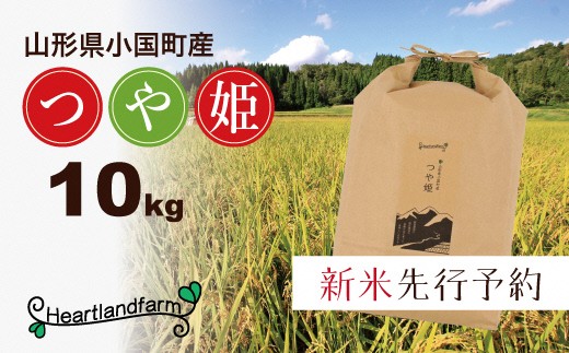 
                  【令和８年産米 先行予約】山形県小国町産 つや姫10kg　小国地産
                