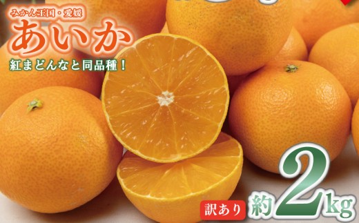 【順次発送中】 訳あり みかん 愛果28号 約2kg あいか アイカ みかん 紅まどんな 紅マドンナ と同品種 柑橘 果物 くだもの フルーツ みかん ミカン mikan mican 不揃い 傷 ワケアリ 訳アリ 愛媛県 松山市