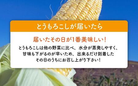 【先行予約】黄金色で大粒 ゴールドラッシュ 8本 3.2kg (2025年8月下旬～発送開始予定)【 人気 北海道産 糖度 生 野菜 スイートコーン 産地直送 バーベキュー BBQ コーン 旬 お取り