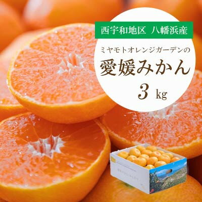 【ふるさと納税】愛媛みかん(3kg/5kg/7kg)【G1044410】