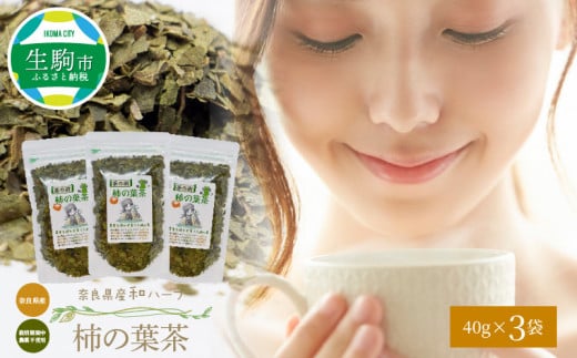 奈良県産柿の葉茶 柿の葉茶 40g × 3袋 国産 健康 健康茶 安心 安全 奈良のうまいもの 茶の術 和ハーブ ハーブ ノンカフェイン ビタミンC 健康志向 飲料 ホット 素朴 飲みやすい 奈良県産 お茶 送料無料