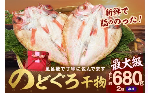 のどぐろ干物最大級2枚（30cm 計680g前後）のどぐろ本来の旨味に出会う渾身の干物 河野乾魚店 魚介類 魚貝類 のどぐろ アカムツ 干物 干もの 一夜干し 2枚 お祝い 【019_0740】