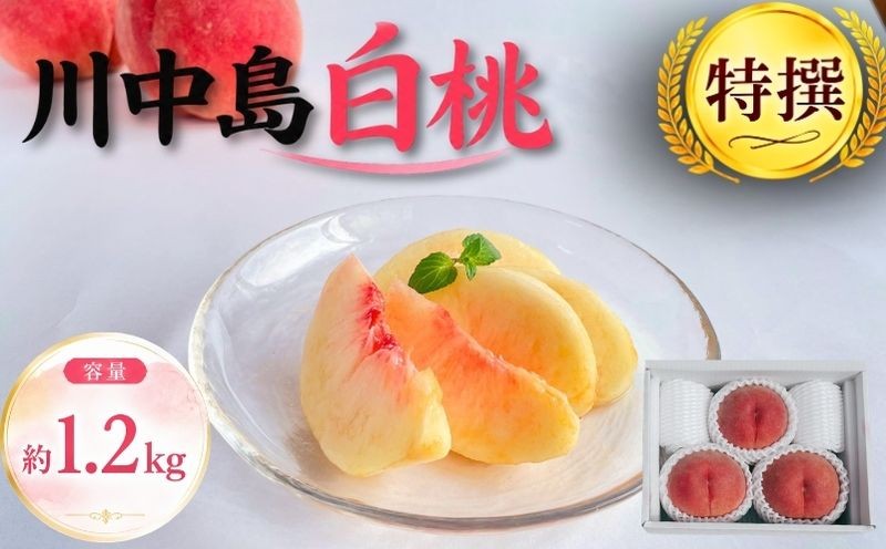 
                  【8月下旬発送】 桃 川中島白桃 特撰 約1.2㎏ 先行予約 盛岡市産 白桃 完熟 もも モモ 果物 くだもの フルーツ 旬 産地直送 農家直送 デザート おやつ 自宅用 詰め合わせ 贈答 ギフト 朝採り 新鮮 甘い 人気 ジューシー ピーチ 夏 2026年 特産品 岩手県 盛岡市 東北 岩手 盛岡 ふじむら農園 fujimura003
                