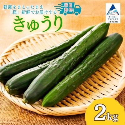 ふるさと納税 小松市 【先行予約】 きゅうり 2kg (20本以上) きゅうり 野菜