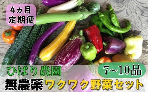 【定期便4回】ひばり農園 の 無農薬  ワクワク  野菜セット《 6月より発送開始》 【1241】