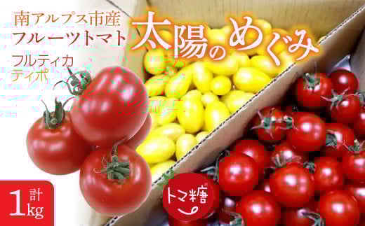 フルーツトマト「太陽のめぐみ」1kg（フルティカ＆ティポ） ALPBI002