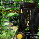 【ふるさと納税】〜野生の酸味と香りを〜ジュースやヨーグルトに！シークニン粉末（200g） ( 調味料 柑橘 果物 薬味 粉 野生みかん スムージー 奄美 鹿児島 鍋 焼き魚 料理 お菓子づくり 酸味 美味しい )