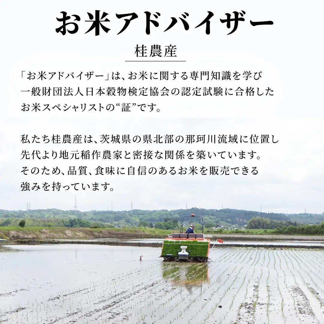 ≪新米≫【無洗米】コシヒカリ ホタル米 20kg スピード発送 令和8年産 (AX087)