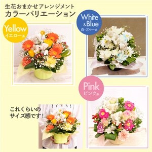 生花お任せアレンジメントM イエロー系 お祝いやお誕生日におすすめ【配送不可地域：離島・沖縄県】【1636498】