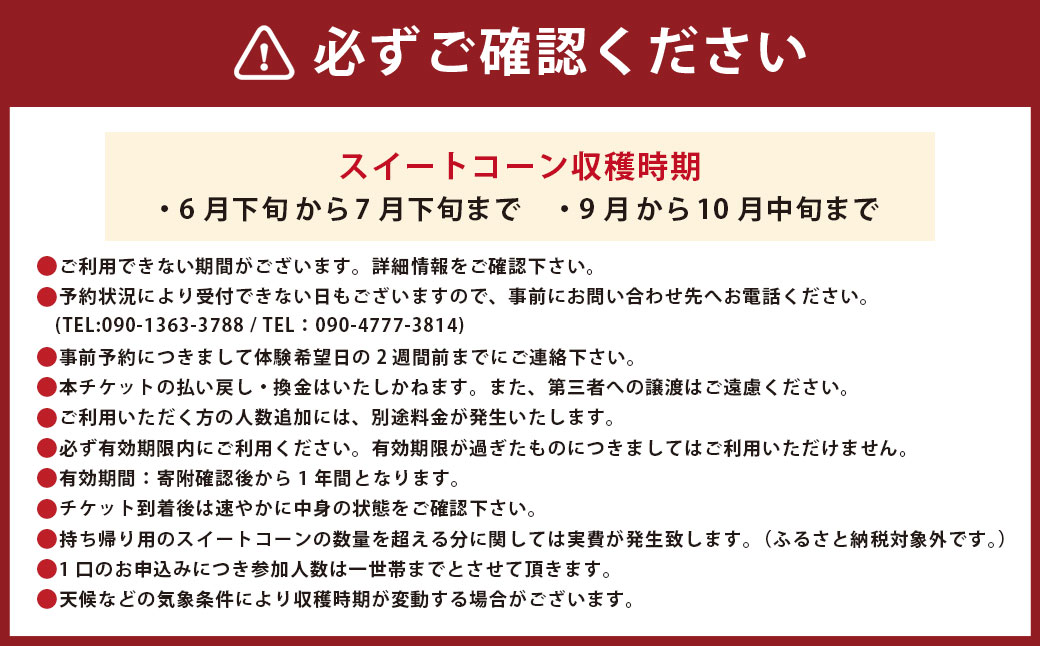 F4 アッキーファーム スイートコーン収穫体験（スイートコーン10本込み）