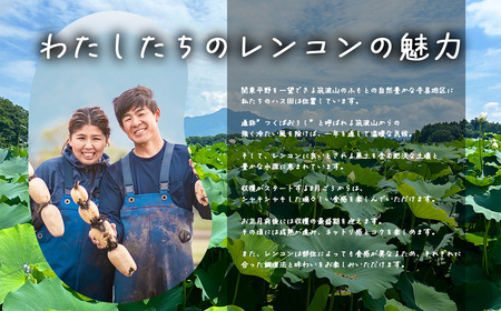 れんこん 新鮮な朝採れ 4kg れんこん