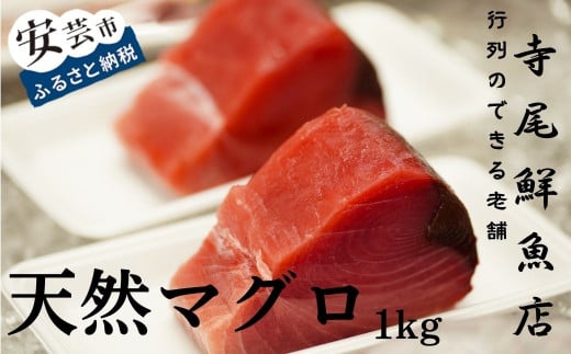 22-(12) 天然まぐろ 赤身 1kg 冷凍 キハダマグロ