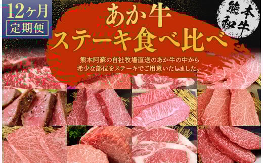【12ヶ月定期便】あか牛 ステーキ 12種 極上食べ比べ