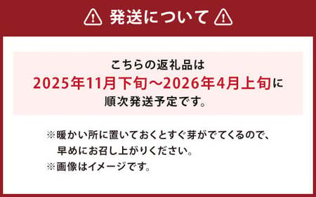 北海道 蘭越産 じゃがいも （メークイン） 約5kg【2025年11月下旬-2026年4月上旬発送予定】野菜 5kg メークイン ポテト 常温 北海道産 蘭越町