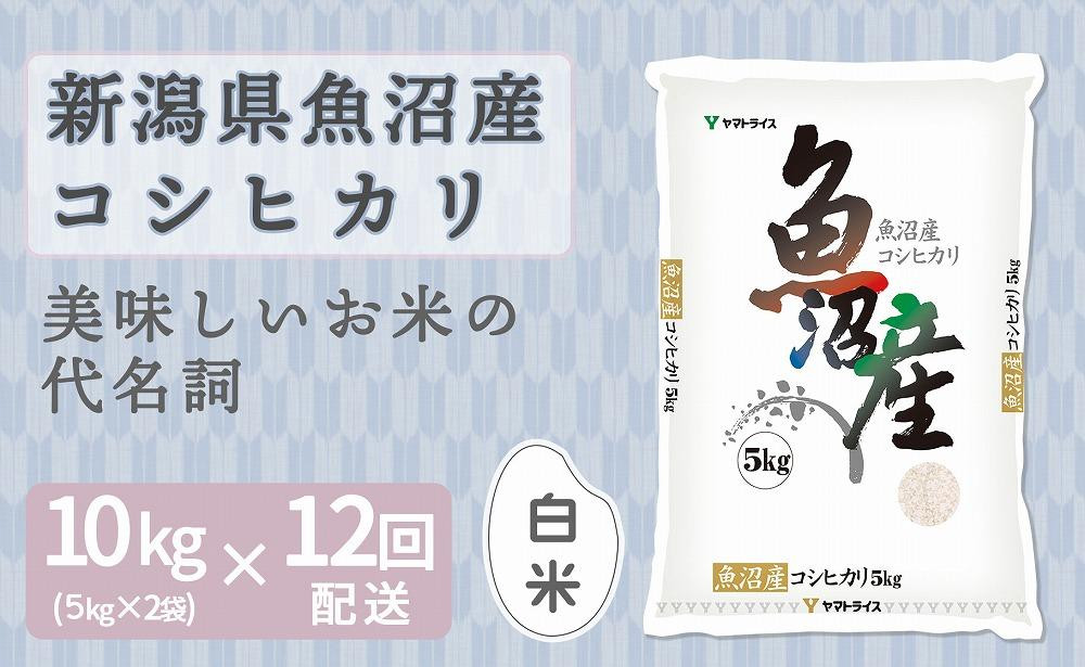 
            【定期便全12回】新潟県魚沼産コシヒカリ10kg
          