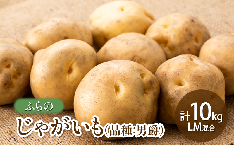 【2026年秋発送】ふらの じゃがいも（品種：男爵） 計10kg LM混合 北海道 富良野市 野菜 新鮮 直送 じゃがいも 男爵 道産 ふらの 送料無料 数量限定 先着順