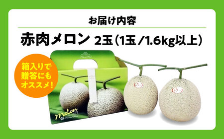 【先行予約】【7月下旬から8月上旬に順次発送】　メロン 2玉 計3kg以上（1玉 約1.6kg以上）赤肉 メロン レノン 糖度16度以上 フルーツ 三次市/なちゅbio[APCA001]