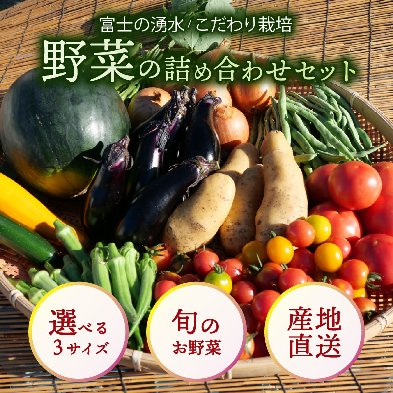 
                  お野菜 詰め合わせセット 選べる3サイズ  富士山の湧水でつくる 四季の美味しい 旬 野菜 Sサイズ(4～5品)、Mサイズ(6～7品)、Lサイズ(8～10品)
                