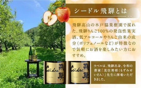 飛騨りんご お酒 シードル 飛騨 辛口・甘口 2本セット  スパークリング スパークリングワイン 果実酒 りんご リンゴ ワイン セット 化粧箱入り プレゼント  木戸脇果樹園　飛騨 辛口　c548 